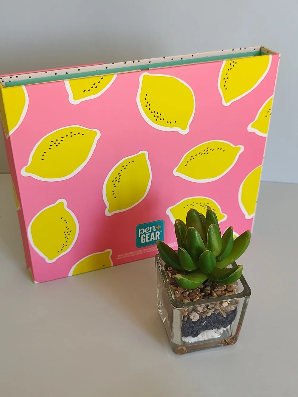 Pink Lemon Print Planner Note Pad Organizer with Gold Script